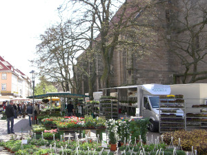 Blumen Manegold auf dem Wochenmarkt